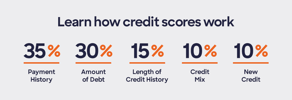 Learn how credit scores work