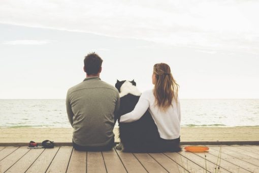 A couple and their dog sit on a boardwalk by the beach and watch the sunset.