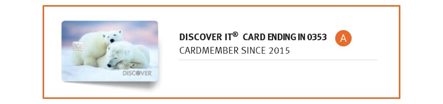 Account information section of a Discover<sup><sup>&reg;</sup></sup> credit card statement.
