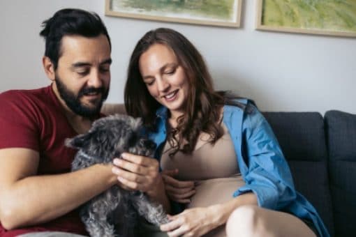 A man and a woman sitting on a couch together at home, lovingly petting a small gray dog.