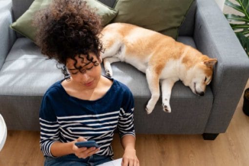 A woman sits on the floor with a laptop on her legs and holding a mobile phone. A dog rests on the couch behind her.