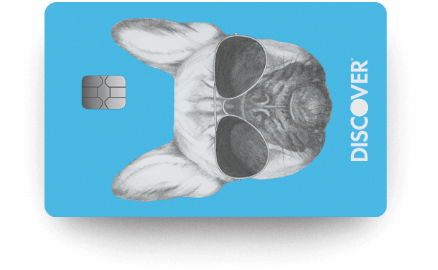 Discover it® Student Cash Back Card French bulldog design
