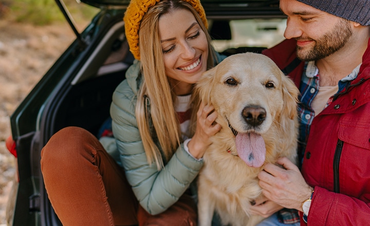 Image of couple and a dog
